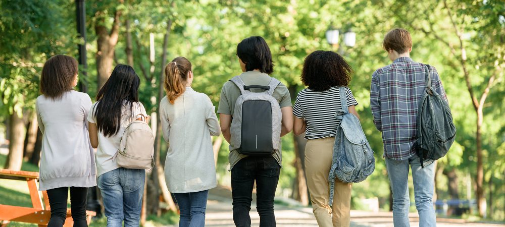 Back view image of multiethnic group of young students walking while talking.